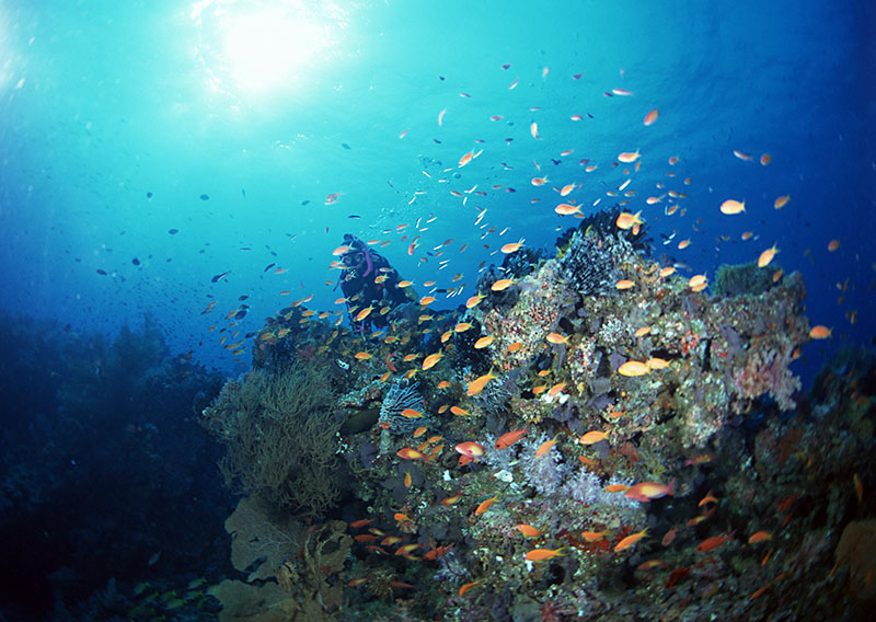 潛水有無身體條件和年齡限制？