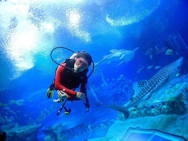 潛在水里，學(xué)做一條靜靜的魚(yú)