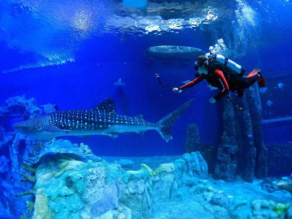 潛在水里，學(xué)做一條靜靜的魚(yú)