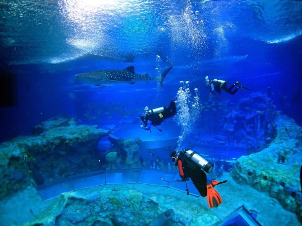 潛在水里，學(xué)做一條靜靜的魚(yú)