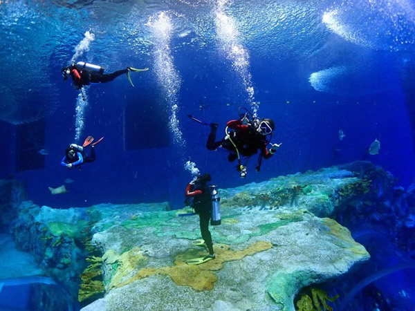 潛在水里，學(xué)做一條靜靜的魚(yú)