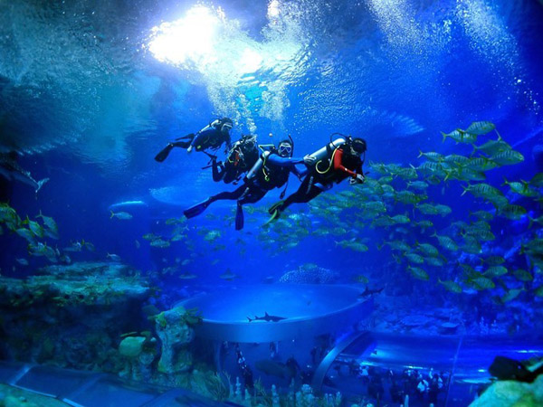 潛在水里，學(xué)做一條靜靜的魚(yú)