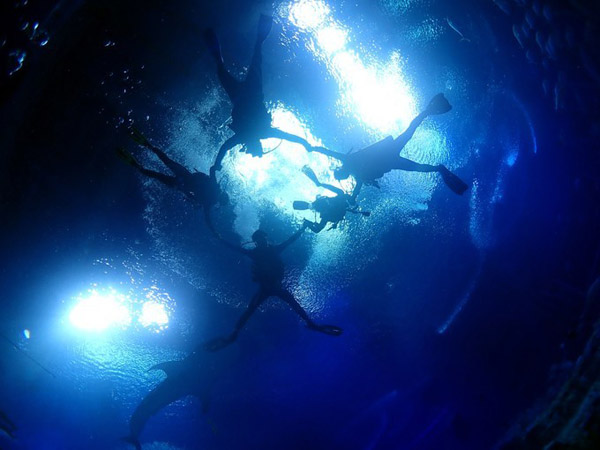 潛在水里，學(xué)做一條靜靜的魚(yú)