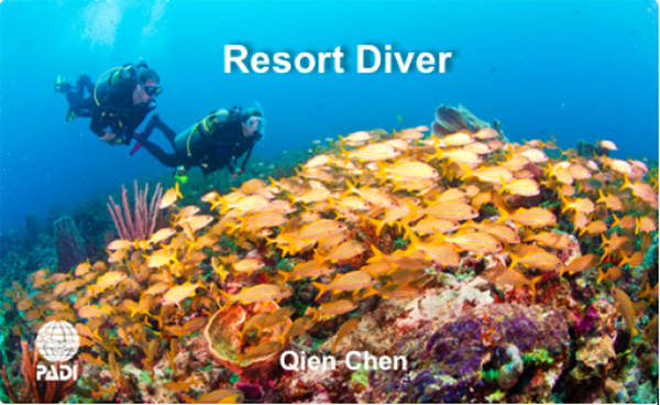 12/12正式上線！PADI 最新課程【休閑潛水員Resort Diver】 丨 一天拿證，潛遍全球