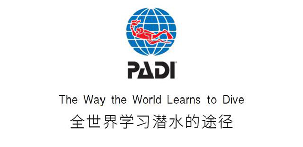 12/12正式上線！PADI 最新課程【休閑潛水員Resort Diver】 丨 一天拿證，潛遍全球