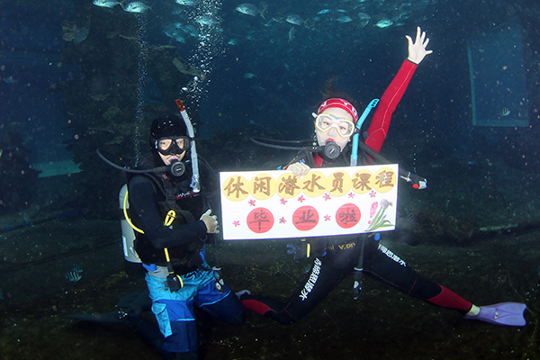 12/12正式上線！PADI 最新課程【休閑潛水員Resort Diver】 丨 一天拿證，潛遍全球