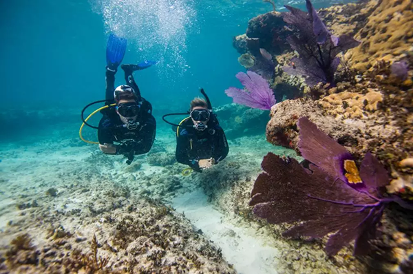 【水肺潛水安全嗎？】轉(zhuǎn)自PADI