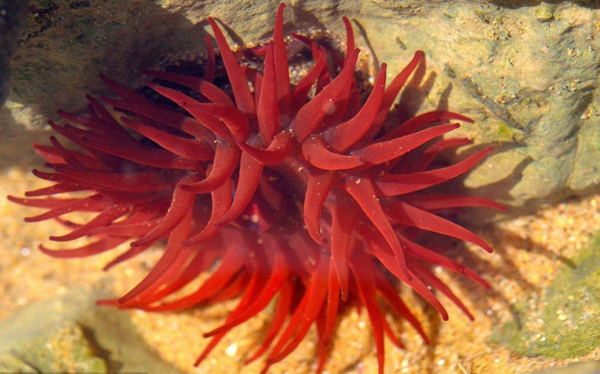 等指?？? title=