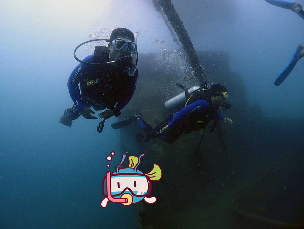 除了俯瞰大地的飛翔，還有潛入海底的翱翔。