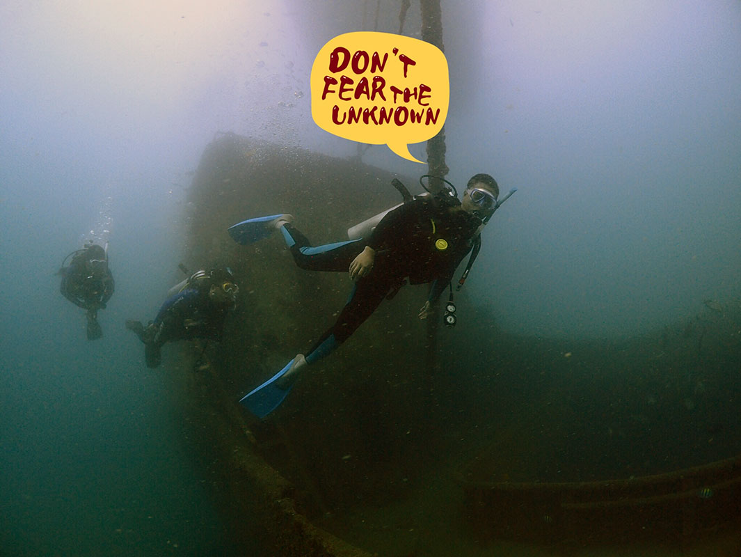 除了俯瞰大地的飛翔，還有潛入海底的翱翔。