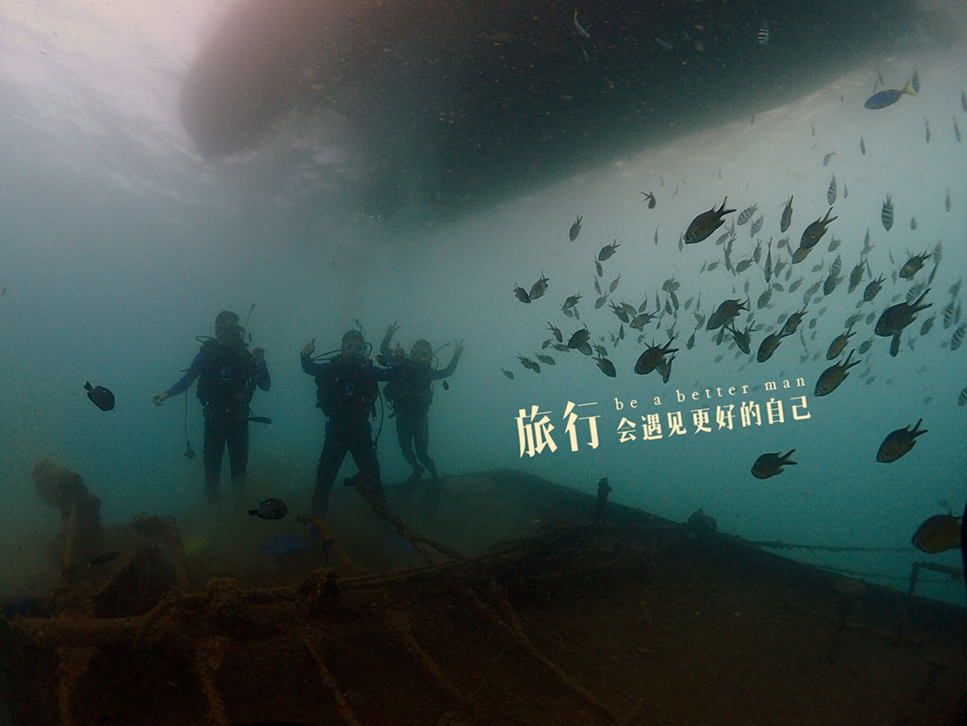 除了俯瞰大地的飛翔，還有潛入海底的翱翔。