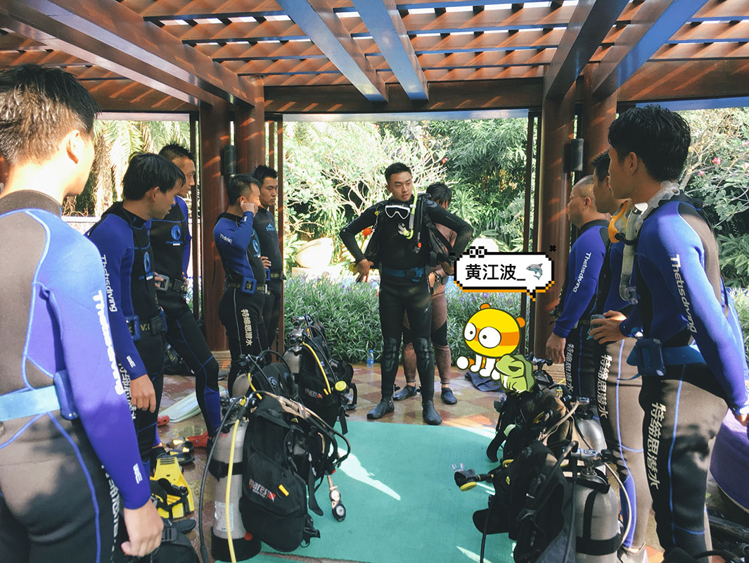 除了俯瞰大地的飛翔，還有潛入海底的翱翔。