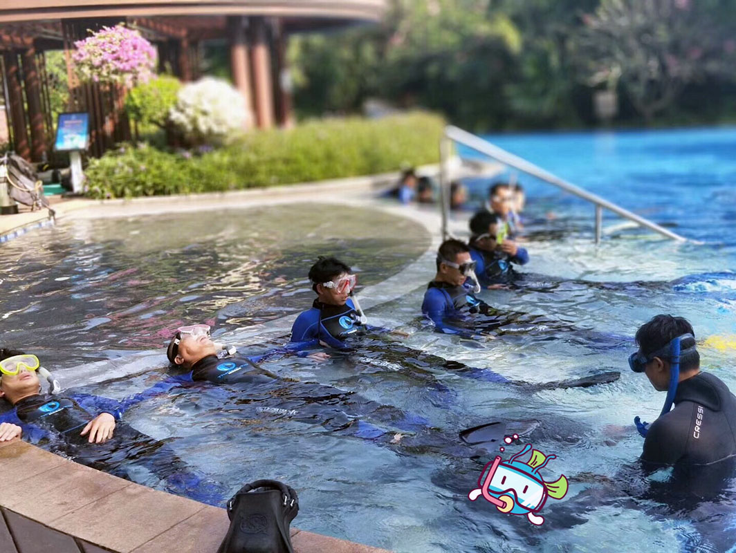 除了俯瞰大地的飛翔，還有潛入海底的翱翔。