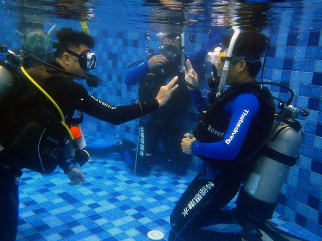 除了俯瞰大地的飛翔，還有潛入海底的翱翔。