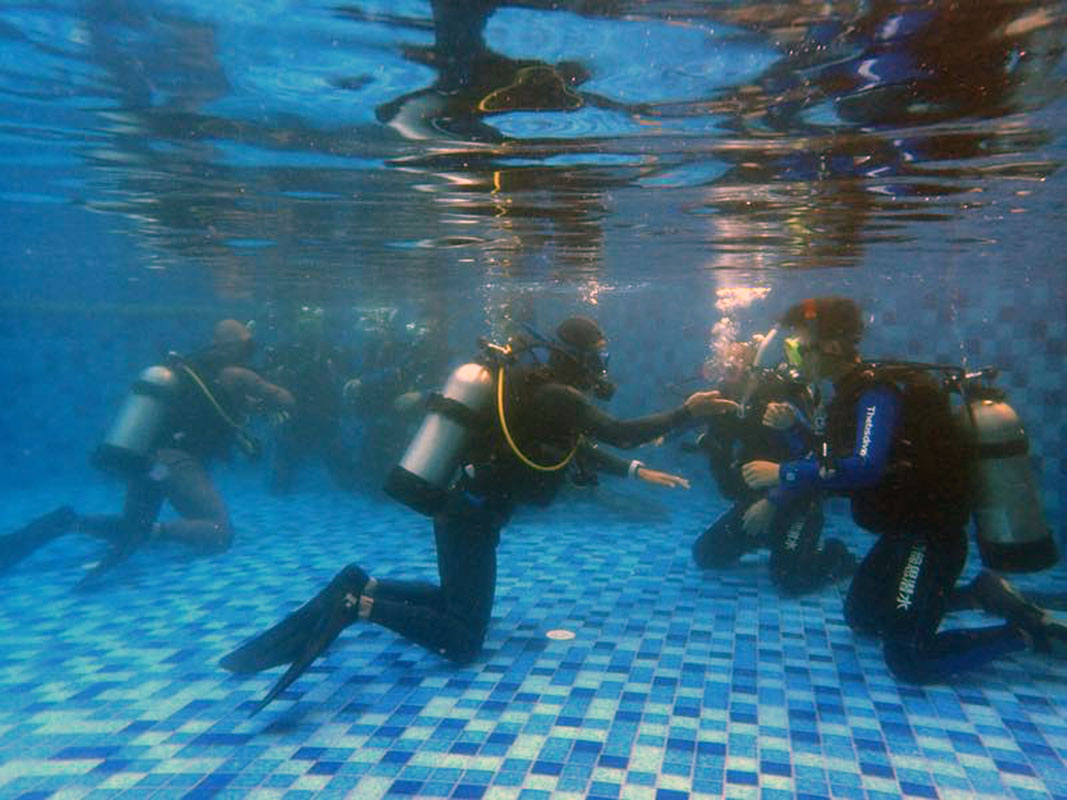 除了俯瞰大地的飛翔，還有潛入海底的翱翔。